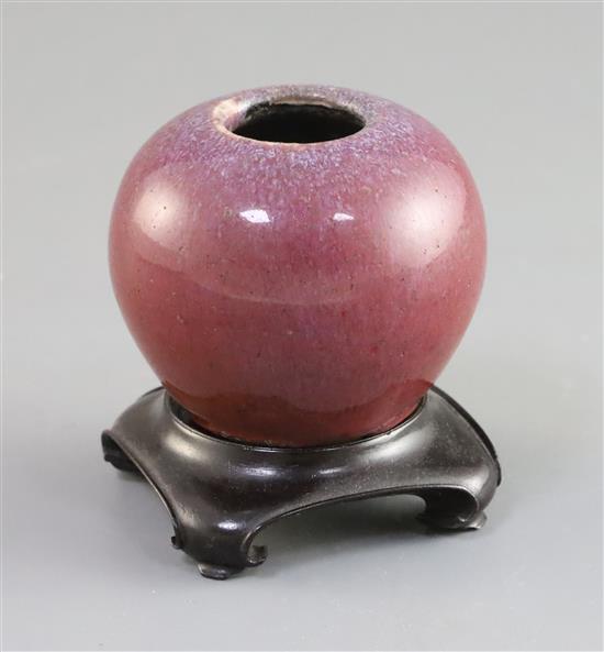 A Chinese sang de boeuf bud shaped water pot, 18th century, H. 5.2cm, wood stand